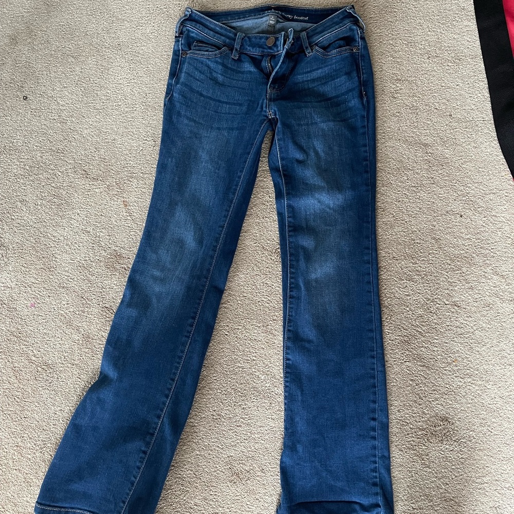 New york company SOHO curvy bootcut
